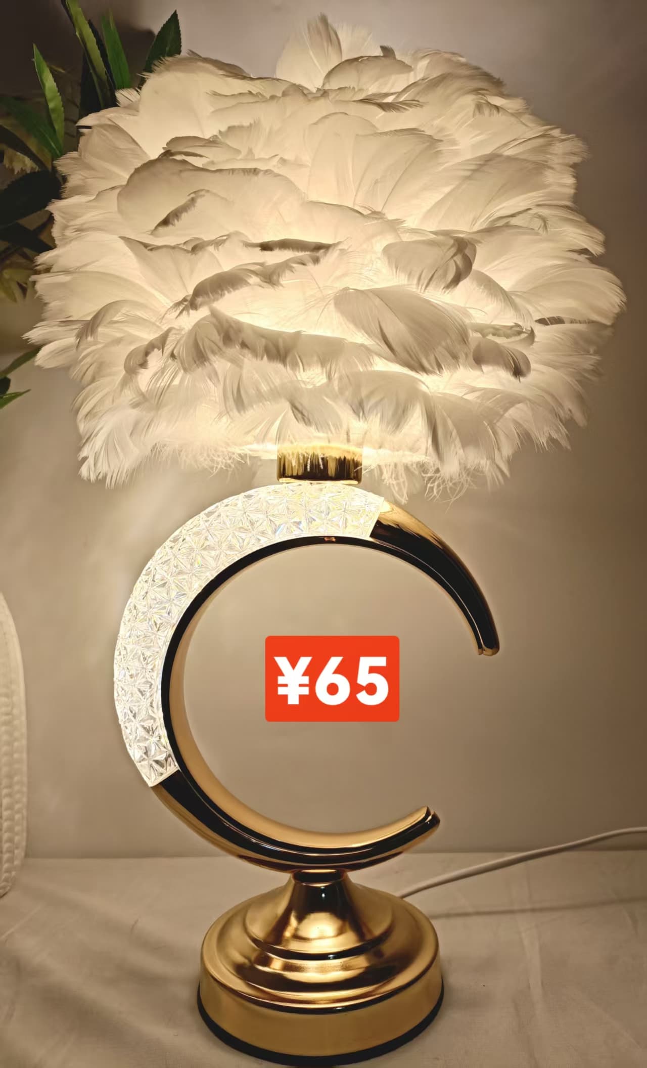 Feather Lamp