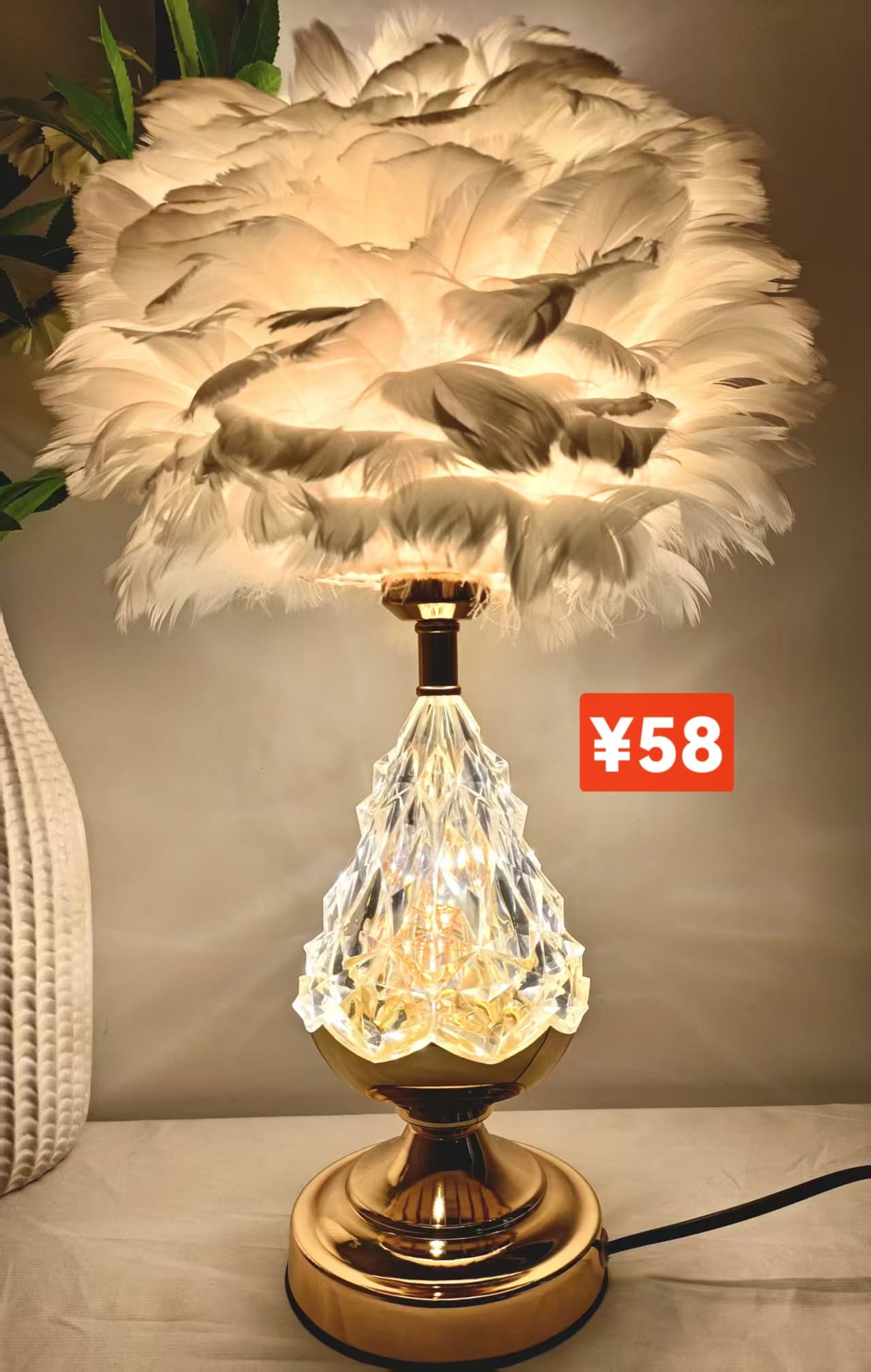 Feather Lamp