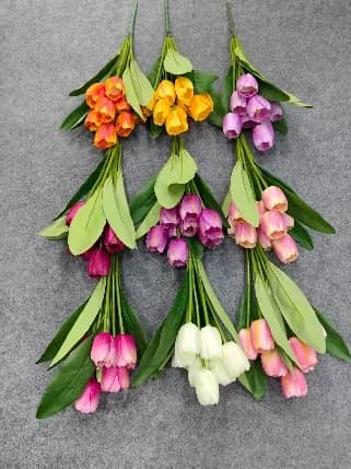 9头大把圆郁金香