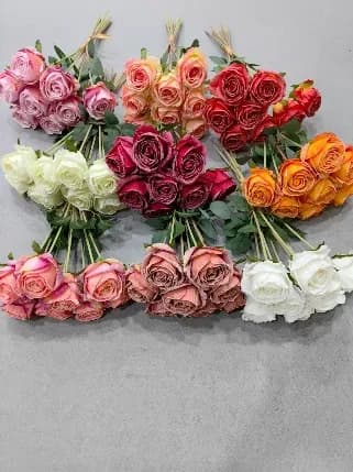 5头烤边保加利亚