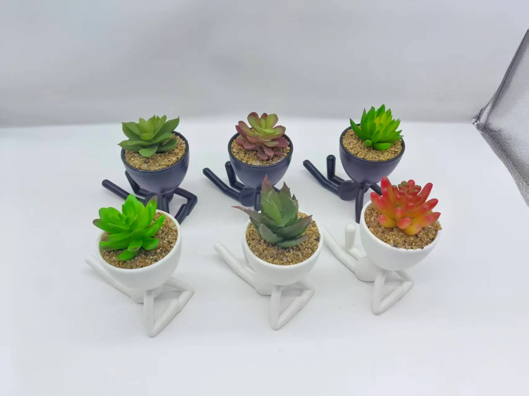 黑白人偶多肉
趴姿