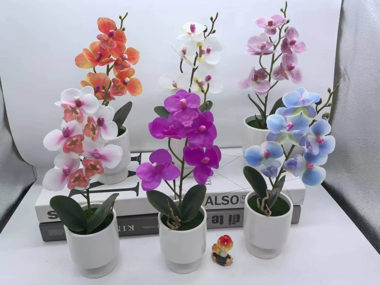 3头蝴蝶兰
3号球黑白