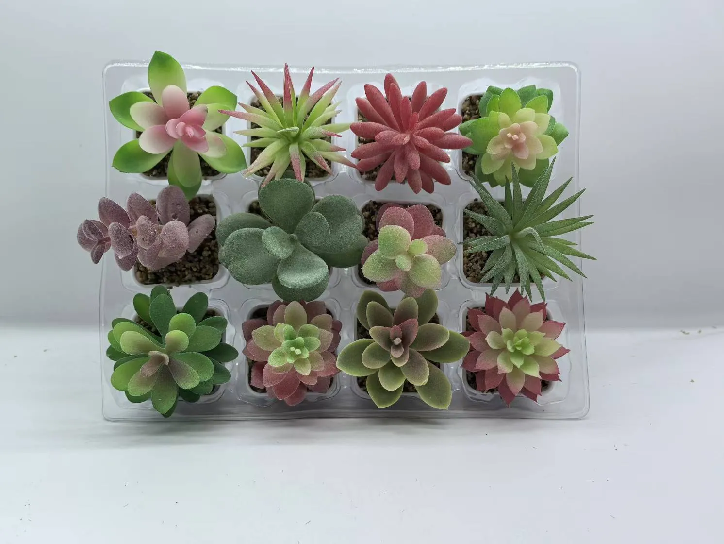 特小号植毛多肉D