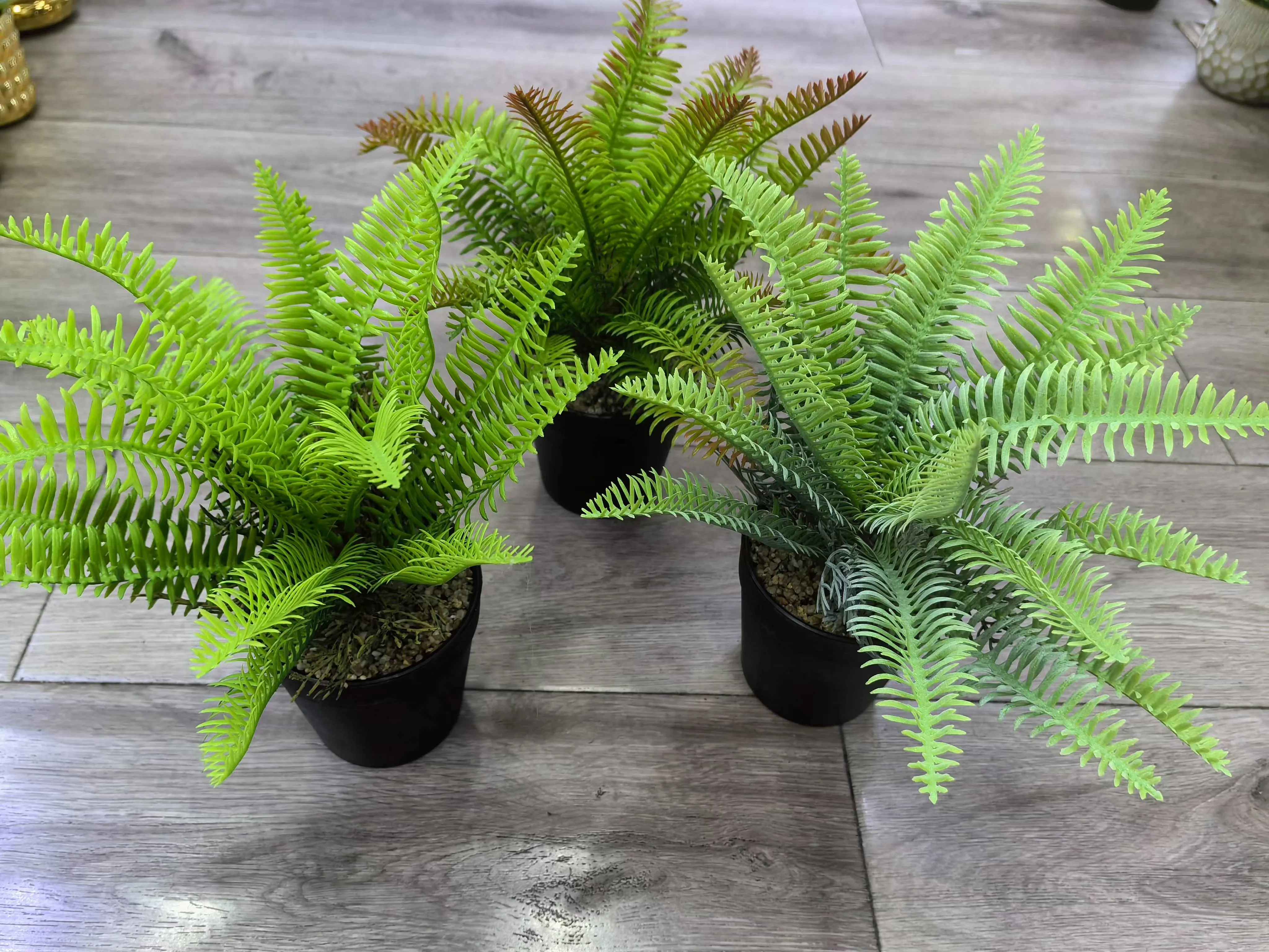 7头向日葵
大金色甜甜圈盆