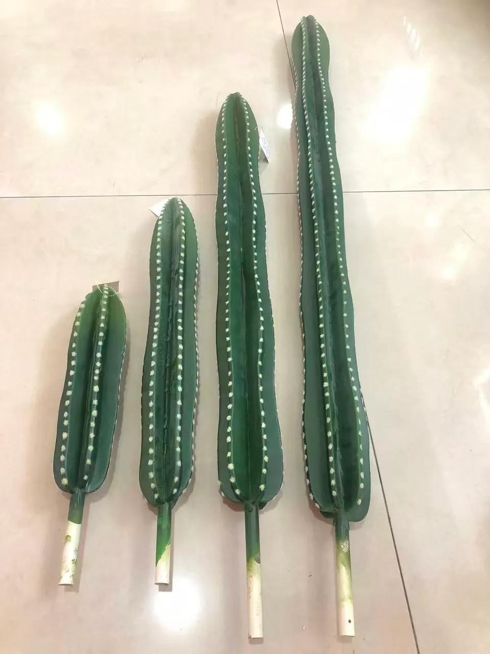 56cm