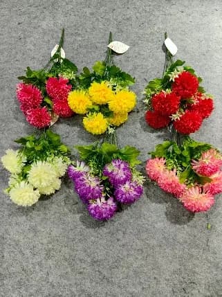 10叉荷兰园丁香