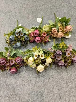 10叉蝴蝶兰玫瑰