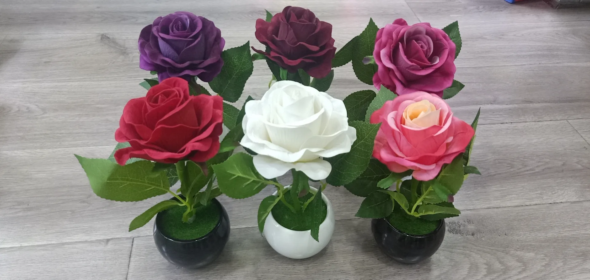 3头蝴蝶兰
电镀气泡盆