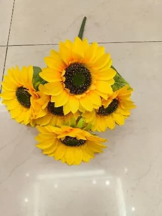 7头向日葵 分装