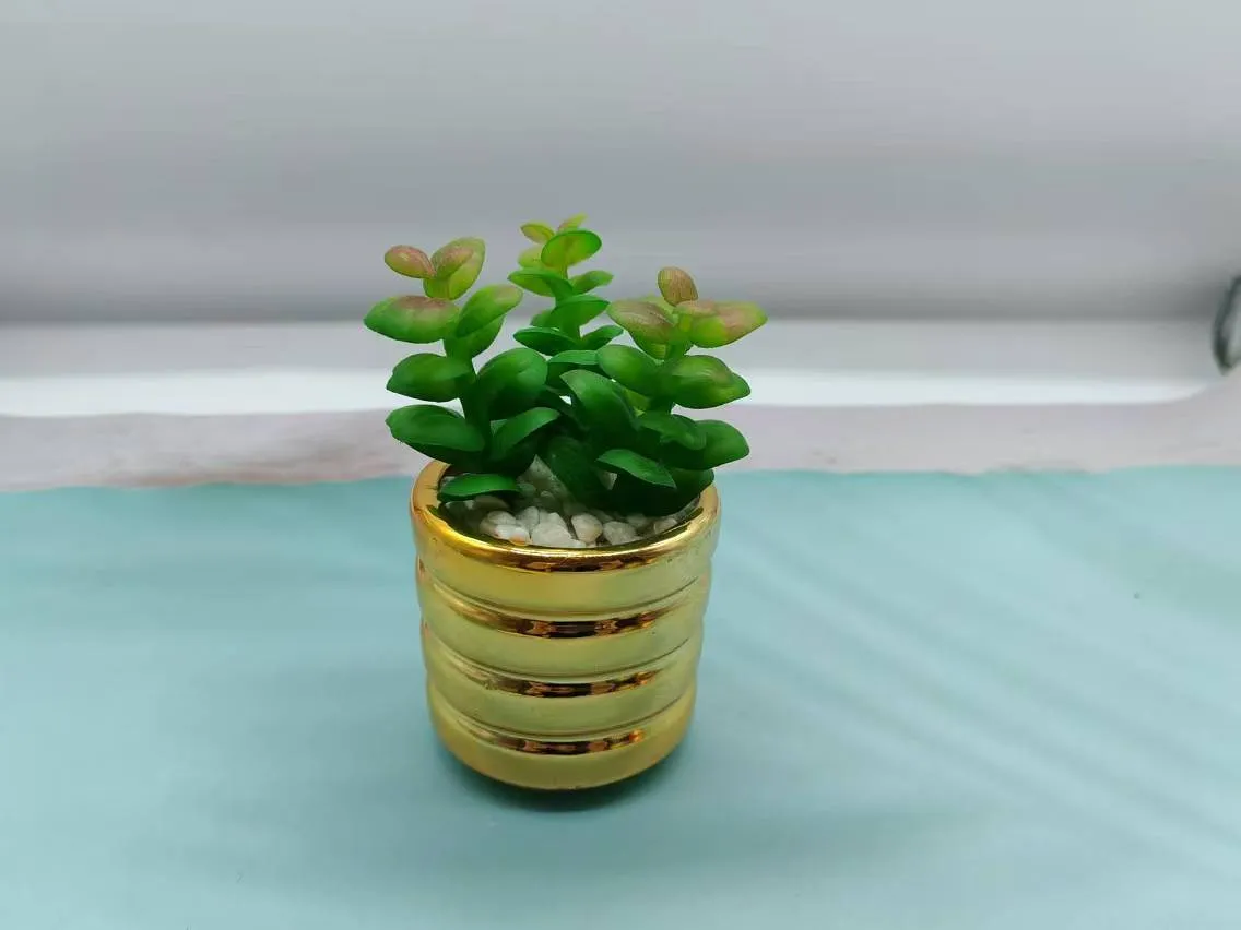 3头钱串
电镀气泡盆