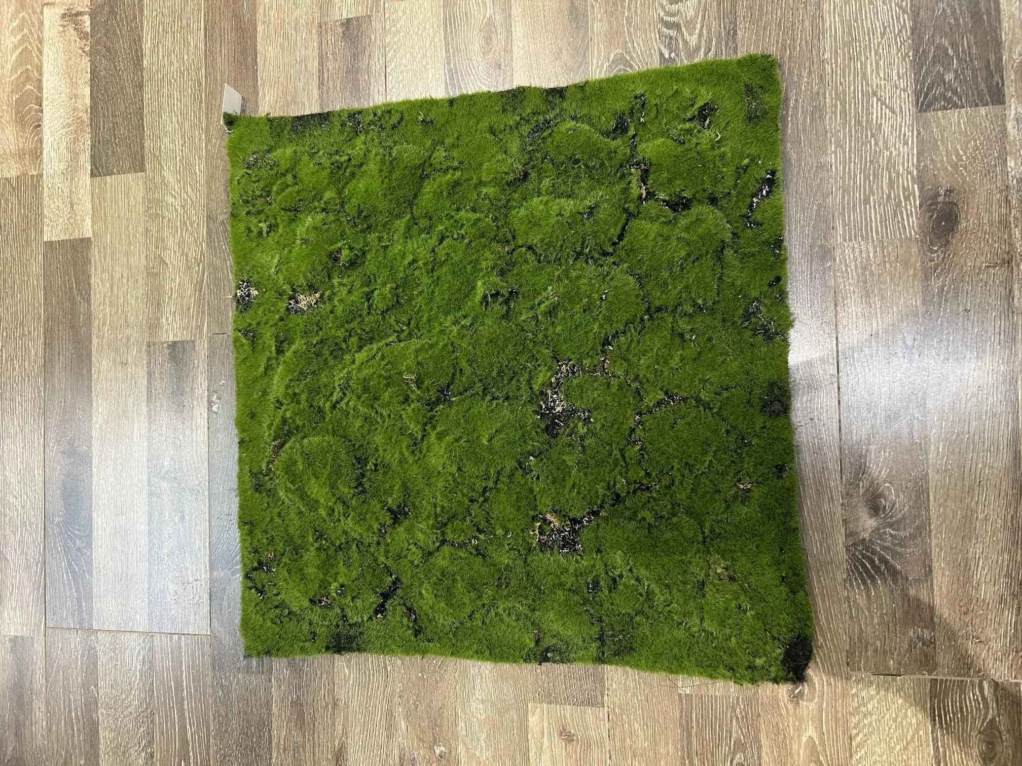 抓包包湖南草皮