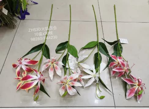 YZ102CM胶片大百合