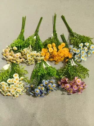 18头烤边小开心玫