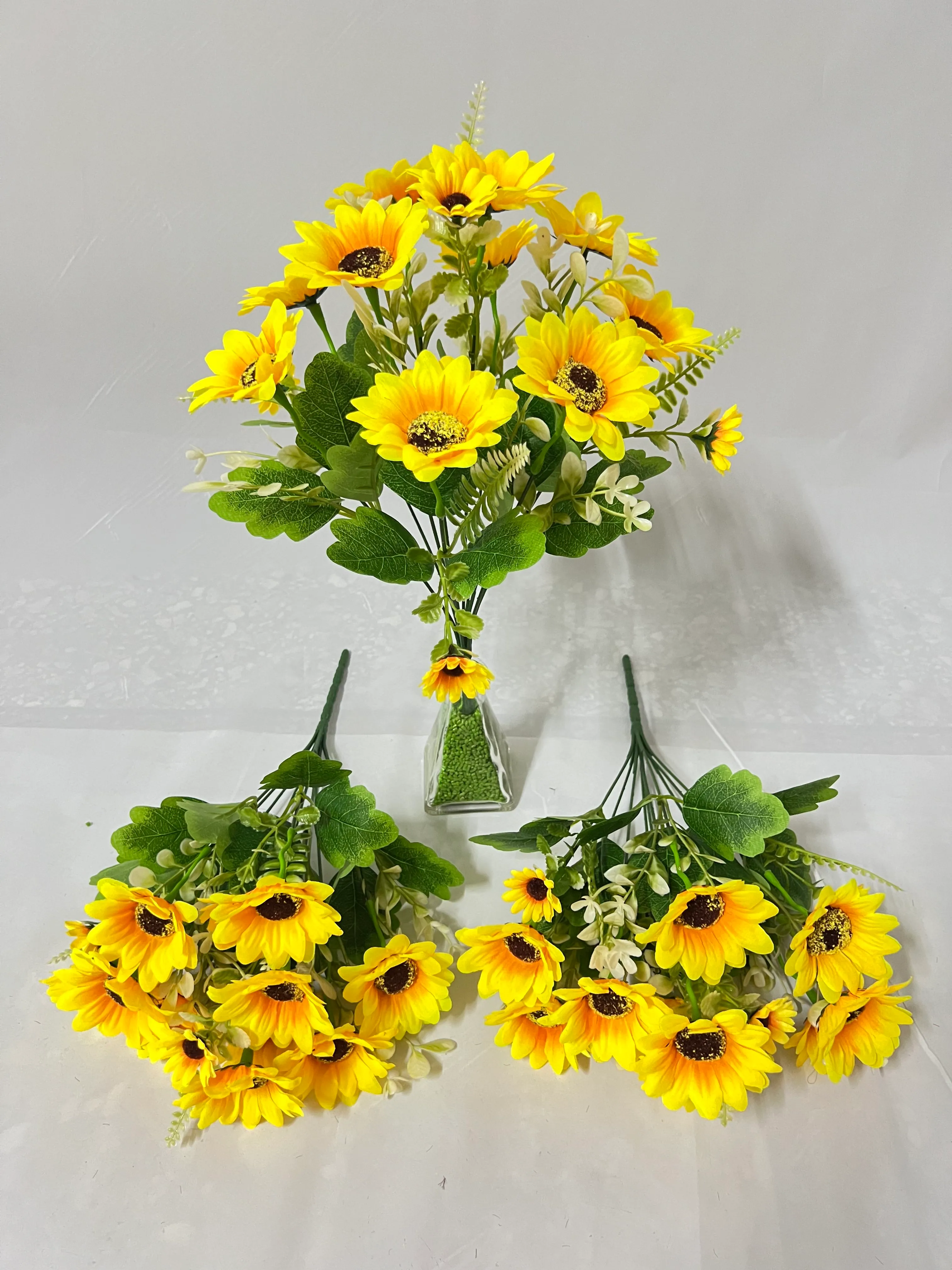 10头新春太阳花