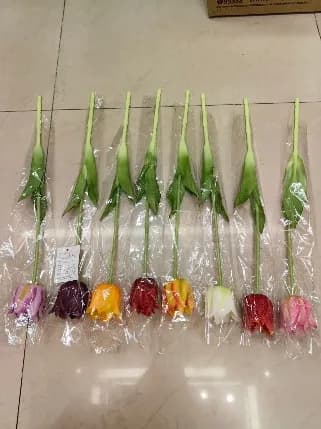 E-2-1保湿郁金香