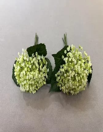 7头安哥拉玫烤边