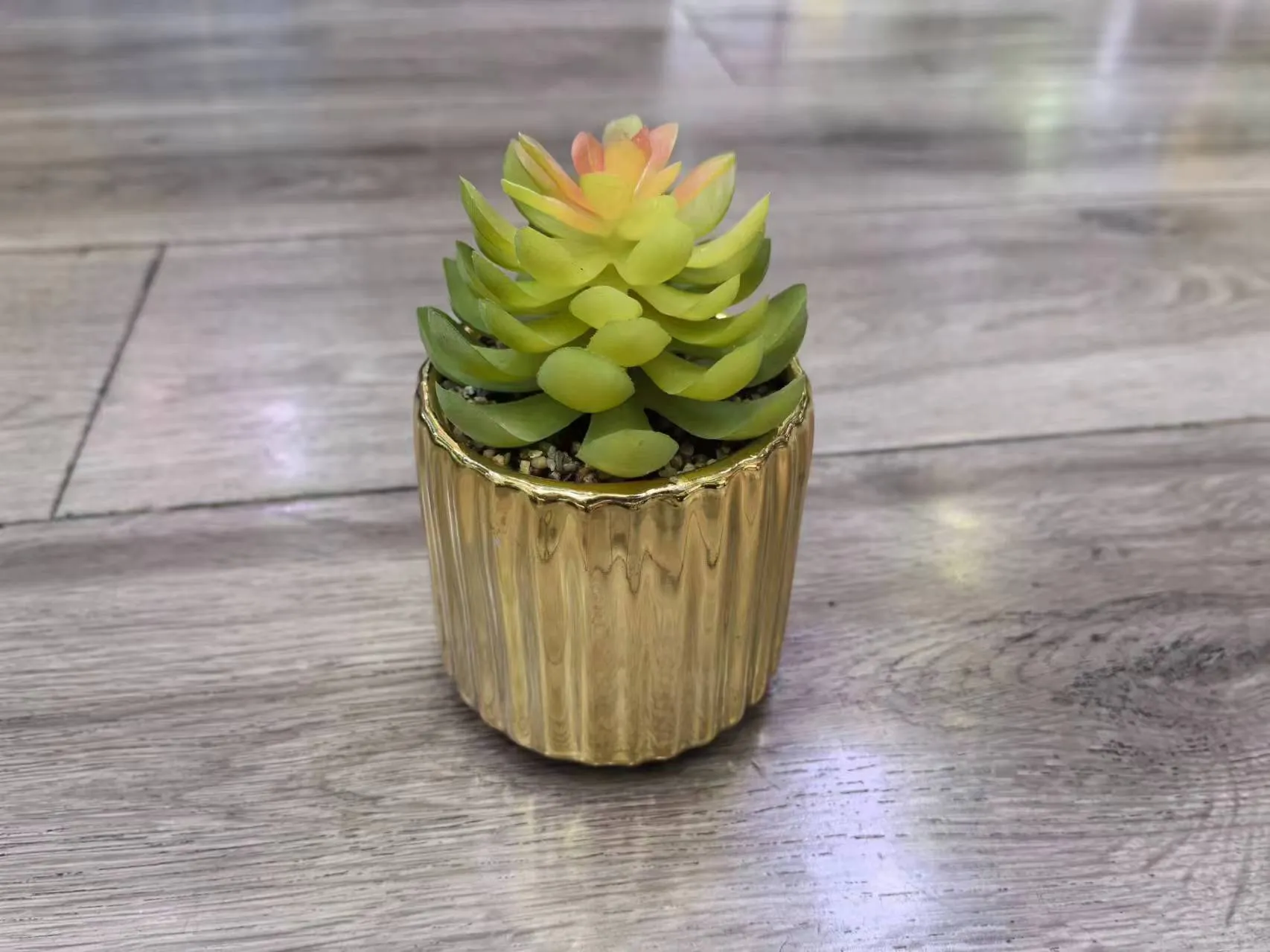 多肉 电镀气泡盆