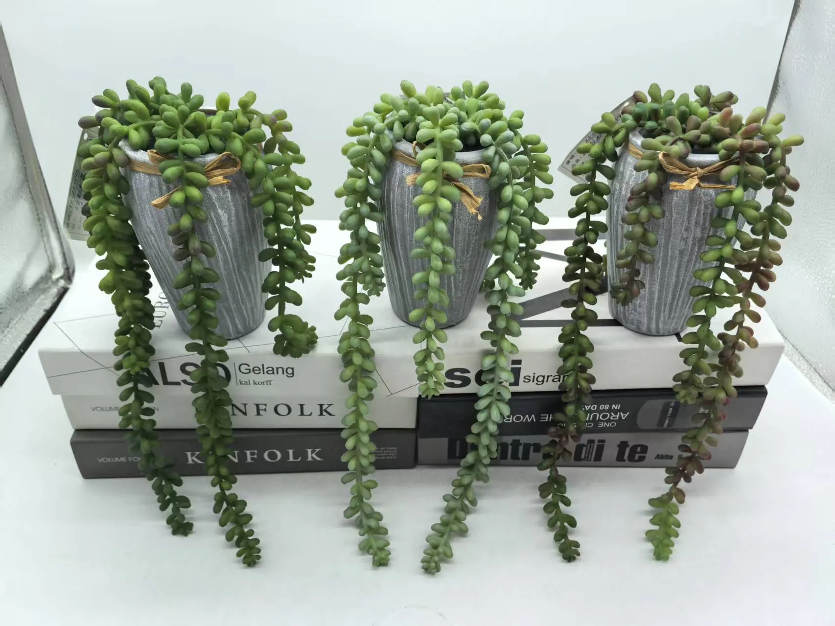 PZ-250016
菩提珠 吹塑盆栽