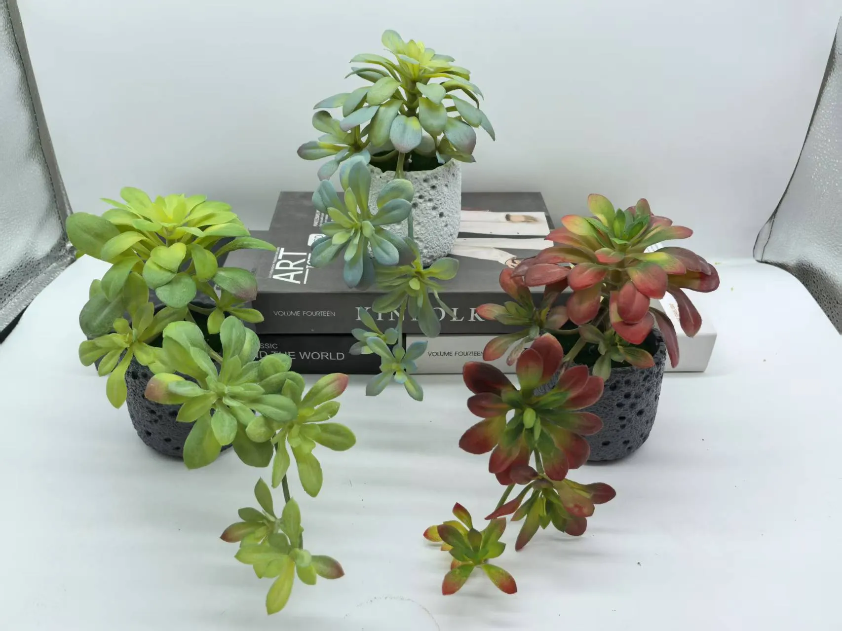 新芦荟
编织水泥盆