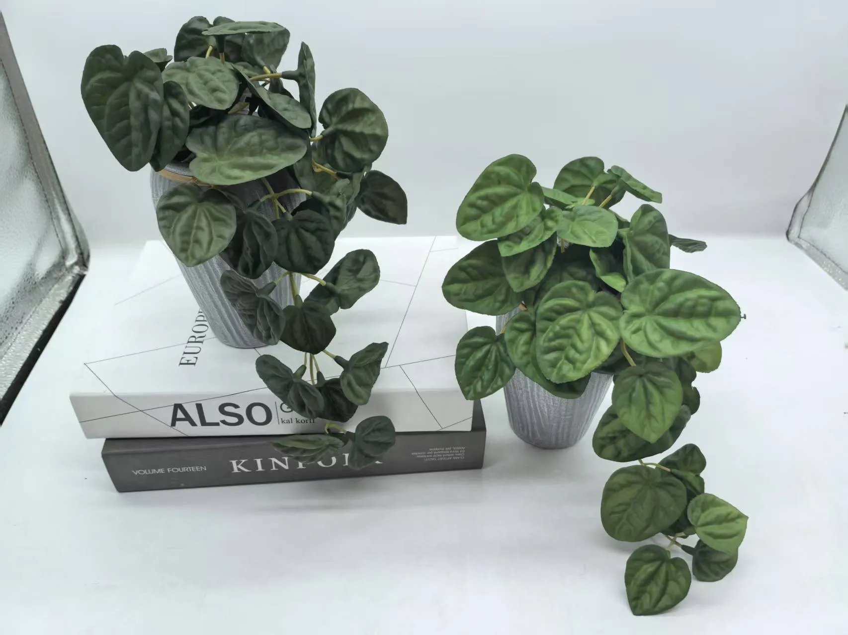 PZ-250015
6条粒粒果吹塑盆栽