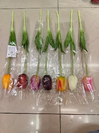 E-6-1保湿郁金香