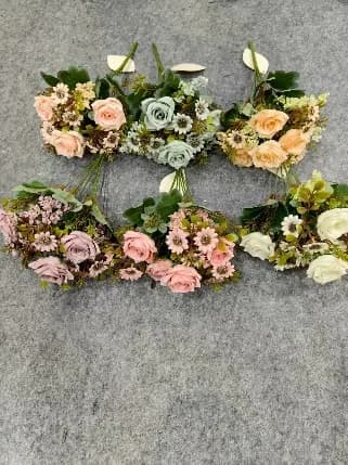 10叉裂纹八耳菊单色