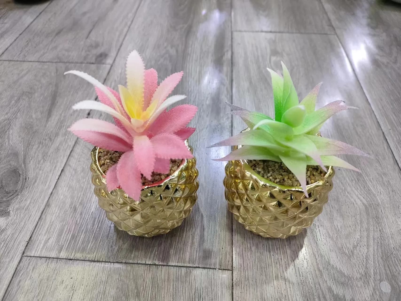 多肉 电镀竖条盆