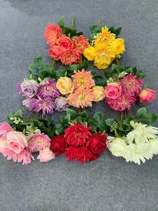 7叉维纳斯松针菊