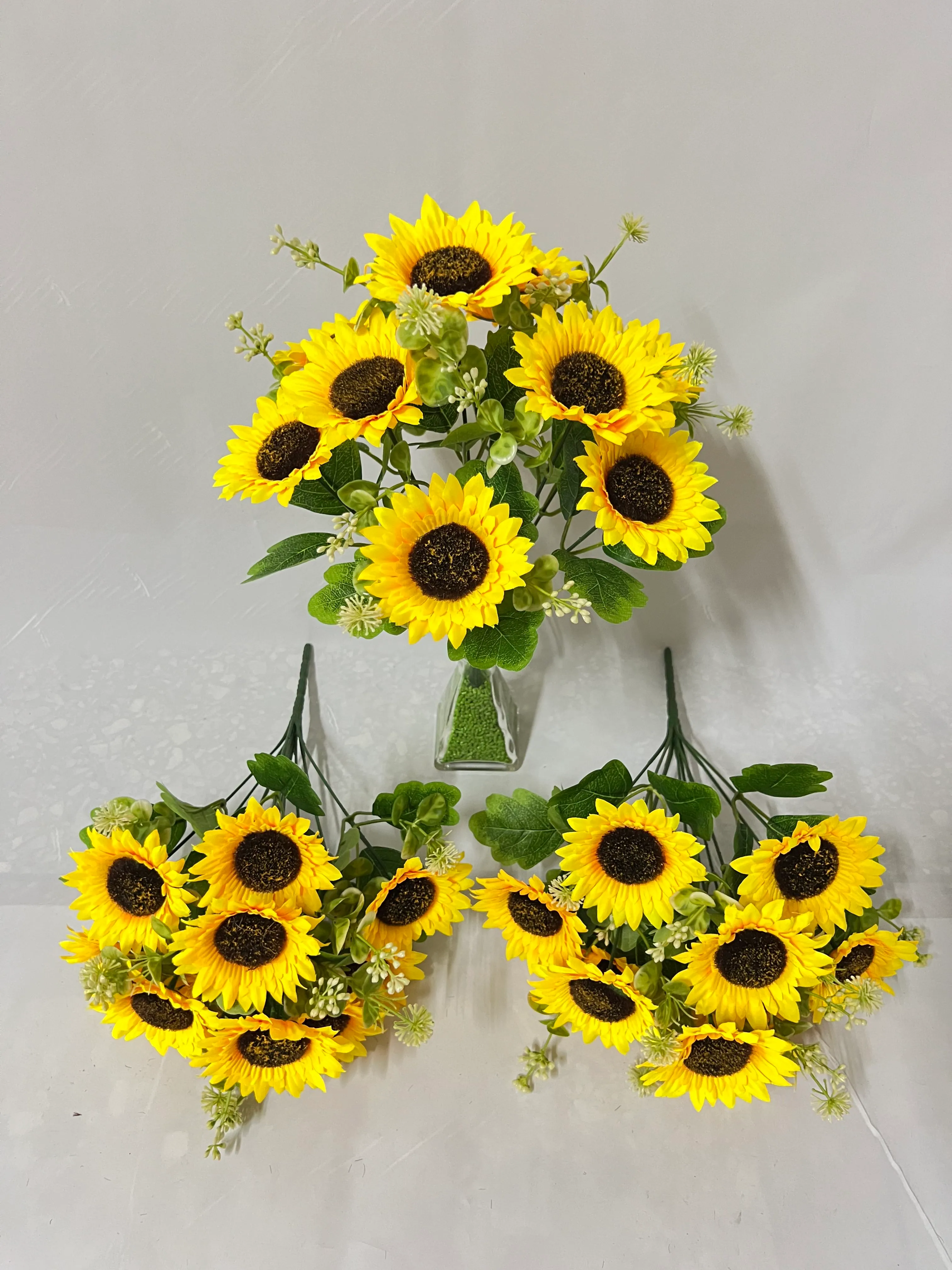 10头尖边太阳花