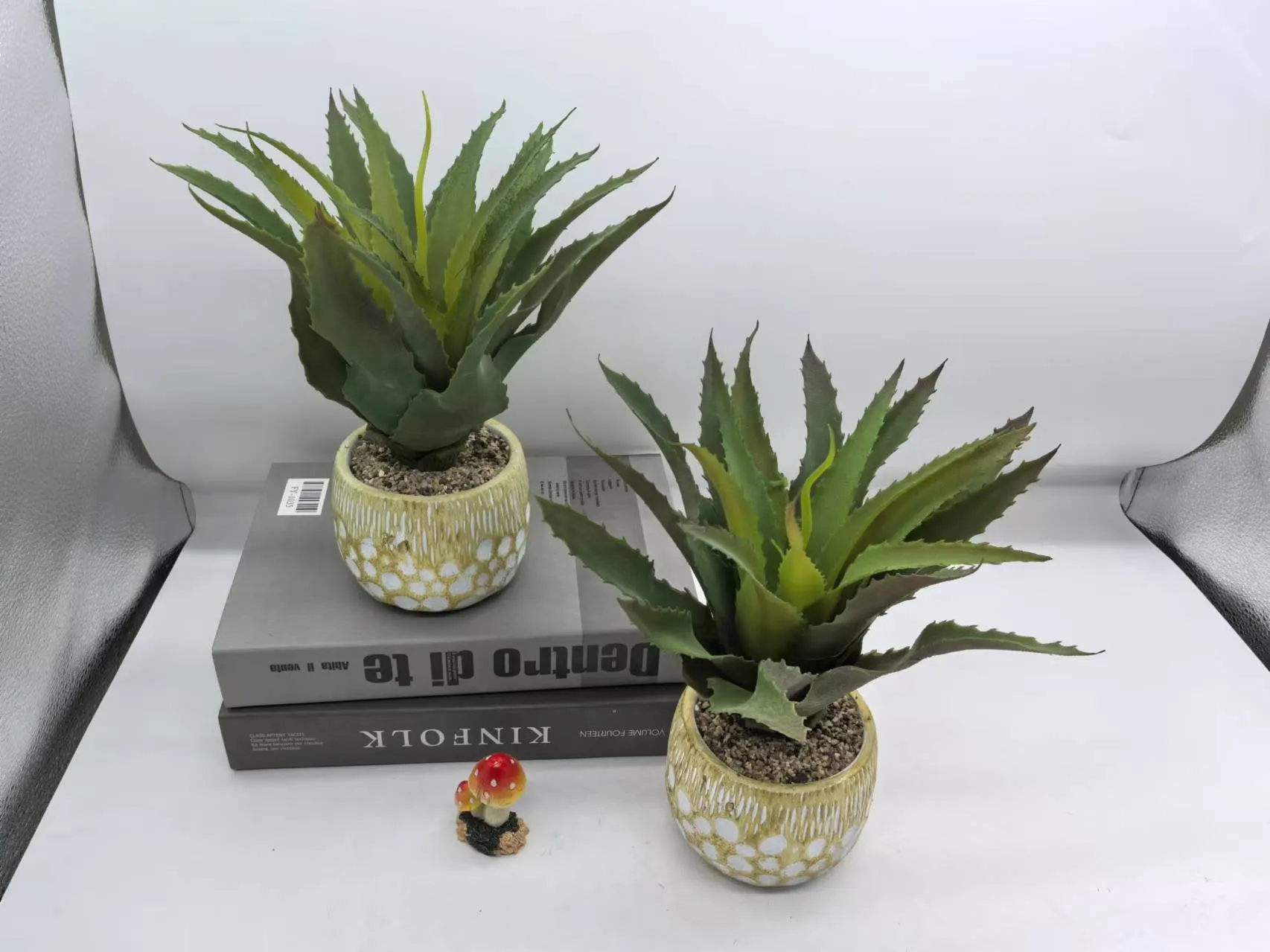 空气草
23008-2盆