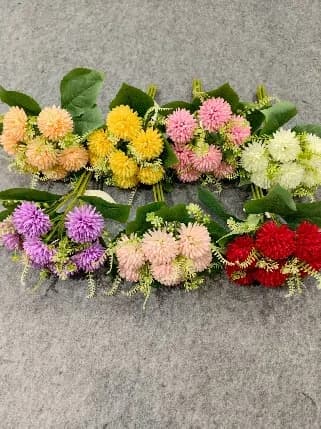 手捧21头大梅花