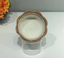 4.75直纹双耳碟-美拉德