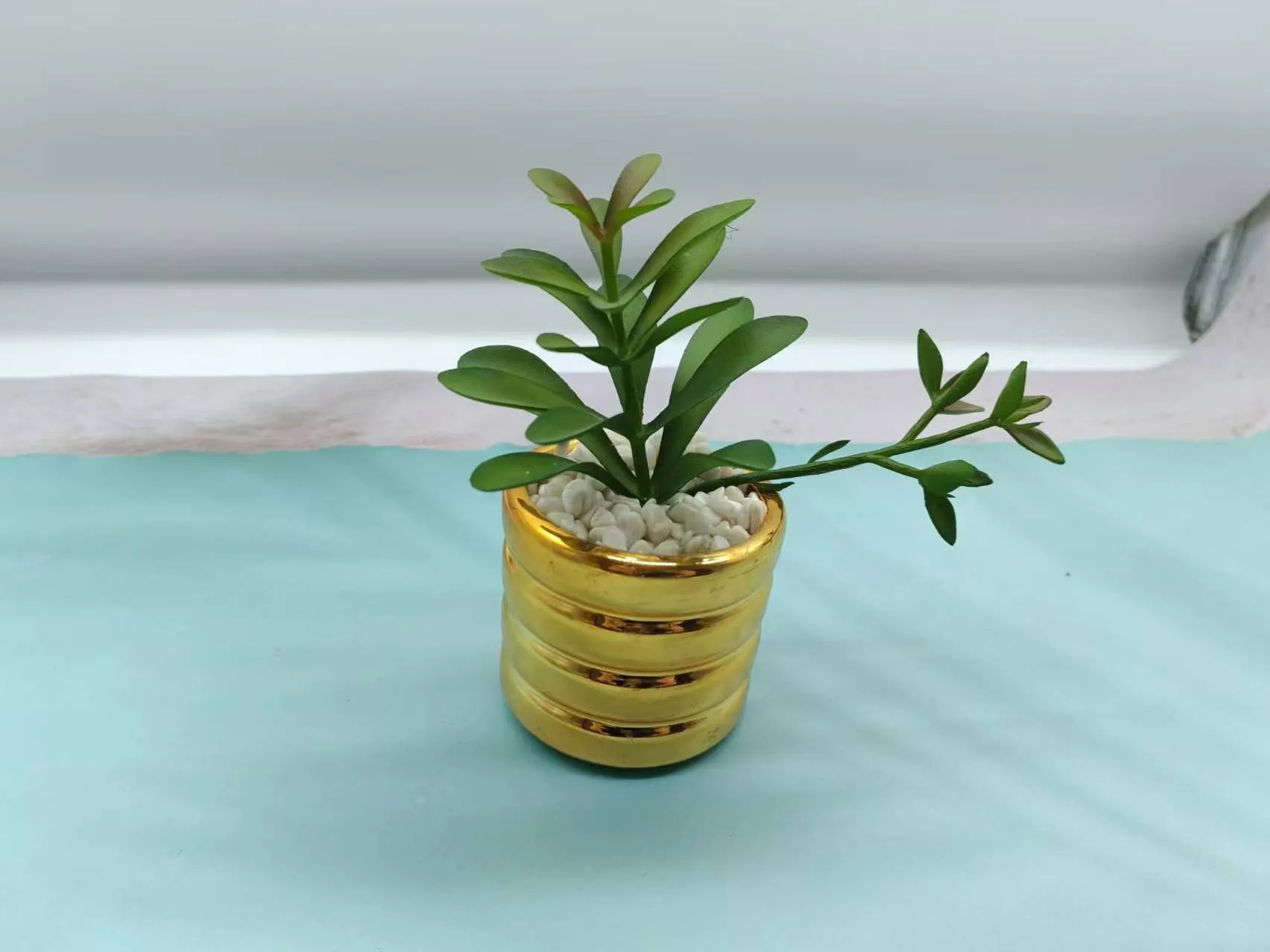 3头钱串
甜甜圈盆