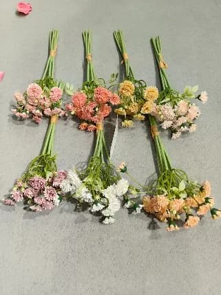 18头烤边小野菊