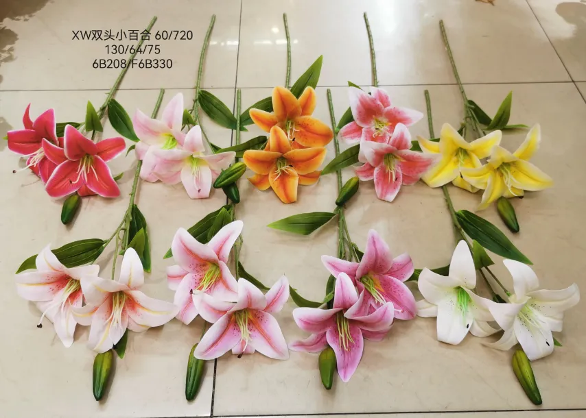 10头布虎兰百合