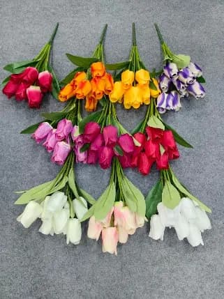 9头小把圆郁金香