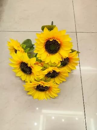 9头向日葵 分装