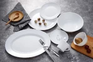 9.5" dinner plate