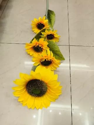 E-4-1保湿郁金香