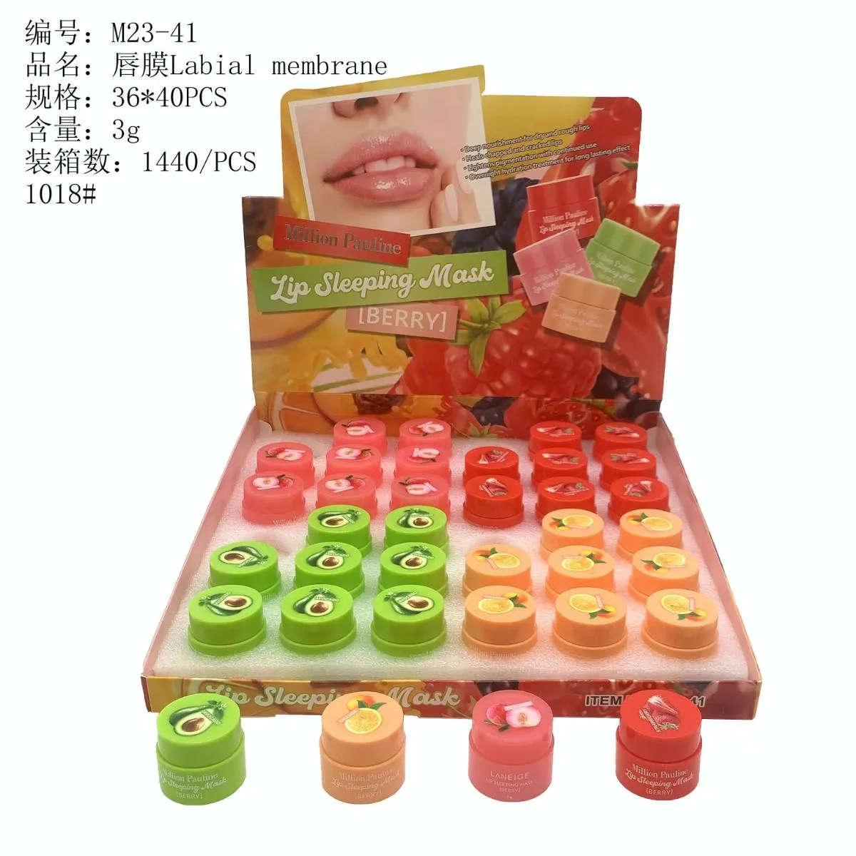 唇膜
Labial membrane