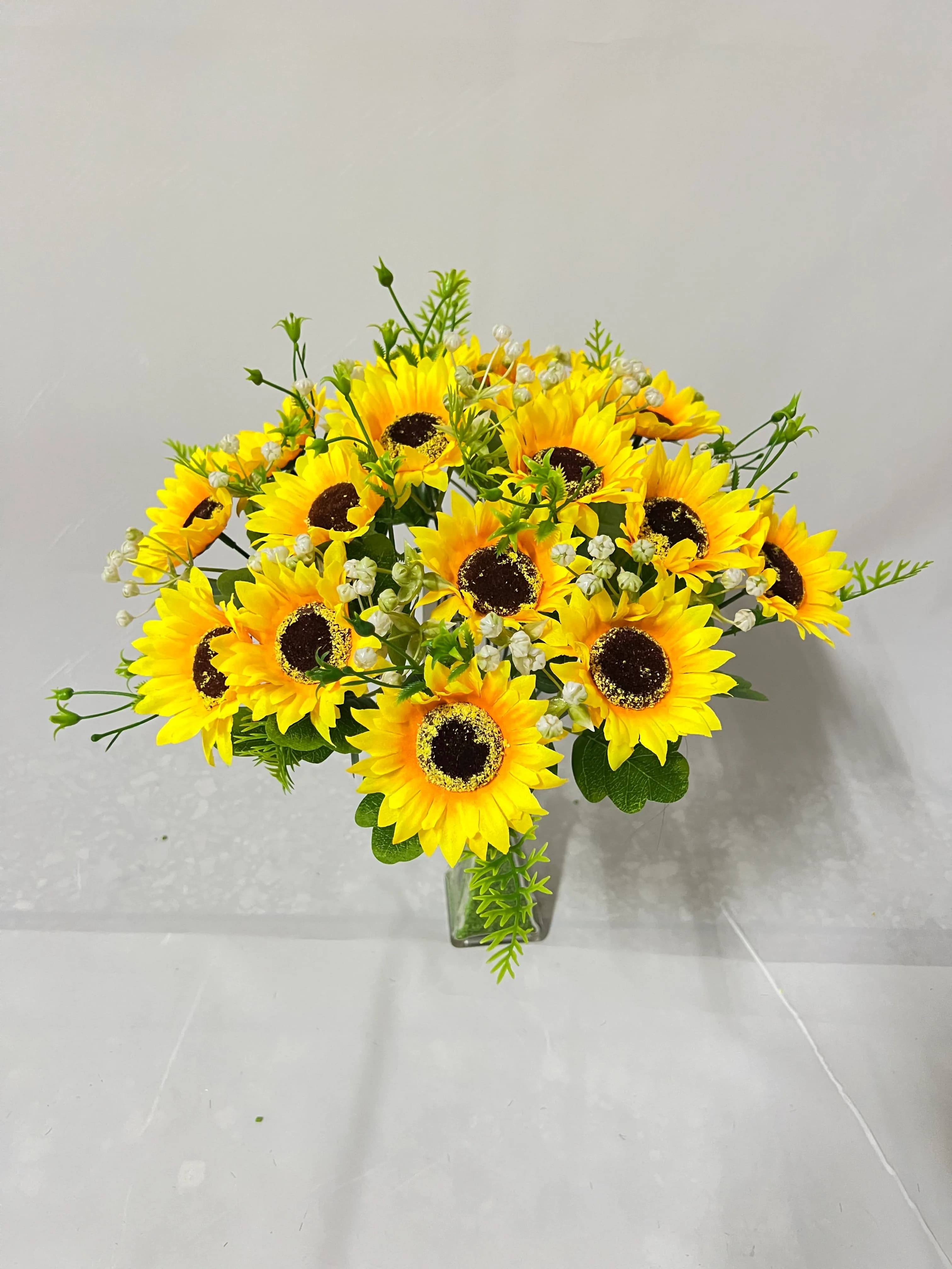平18头新春向日葵