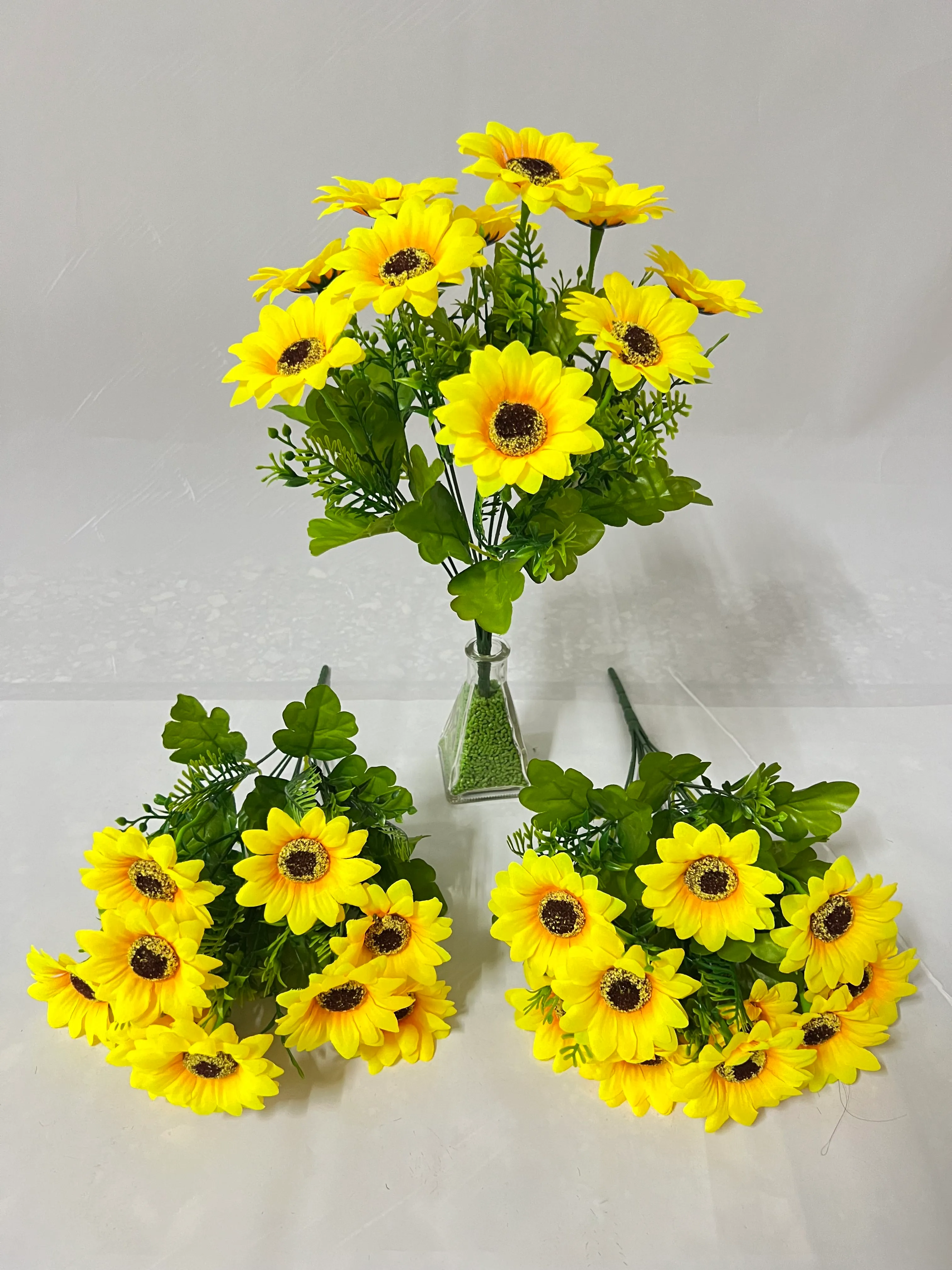 10头笑口太阳花