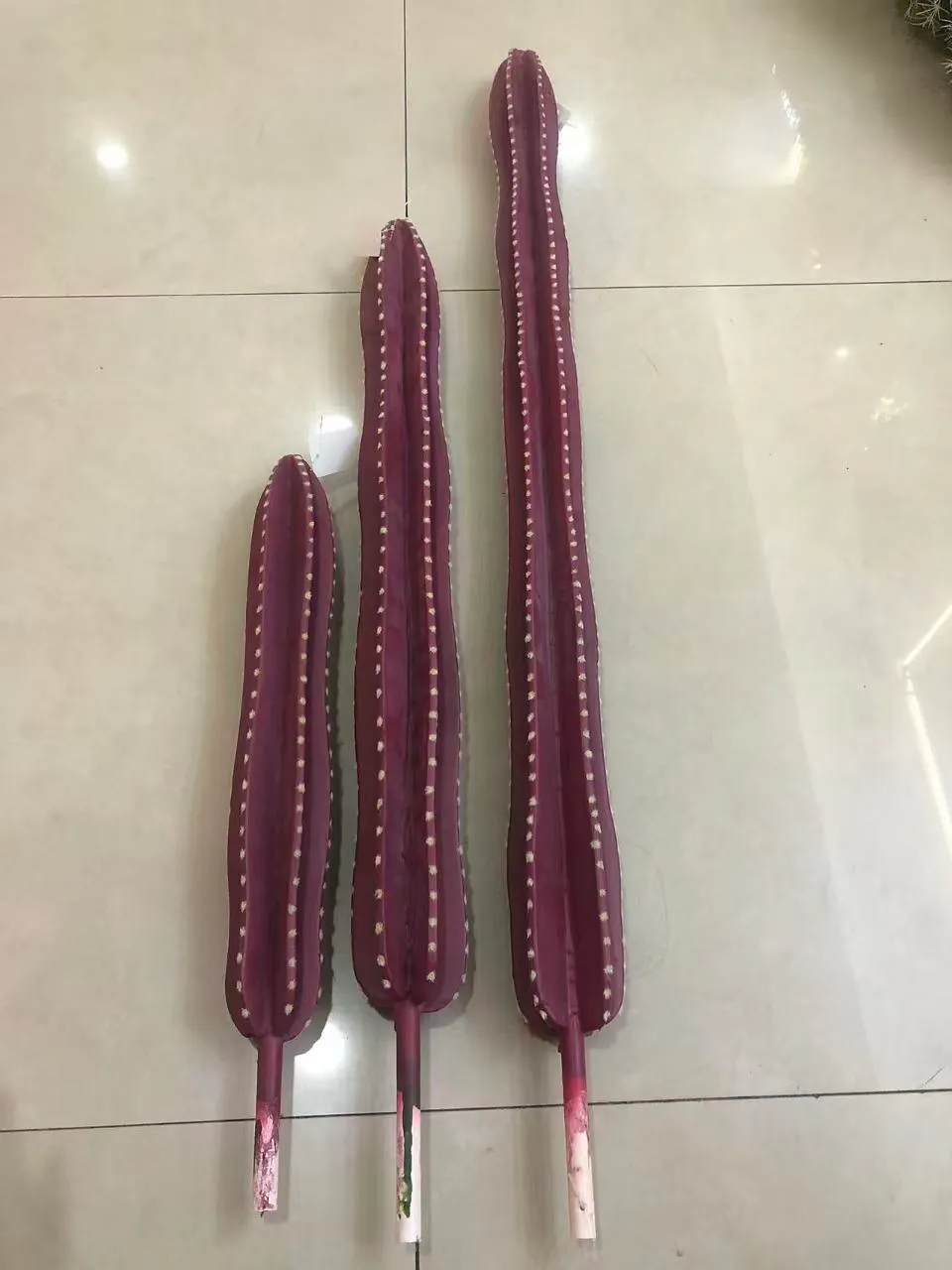 56cm