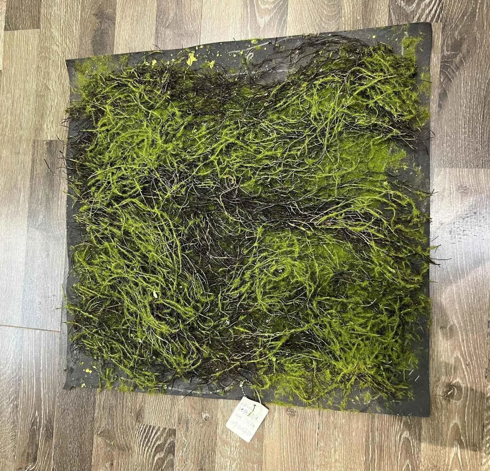 EA0138枯藤青苔块