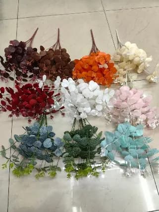 12叉元宝金钱叶