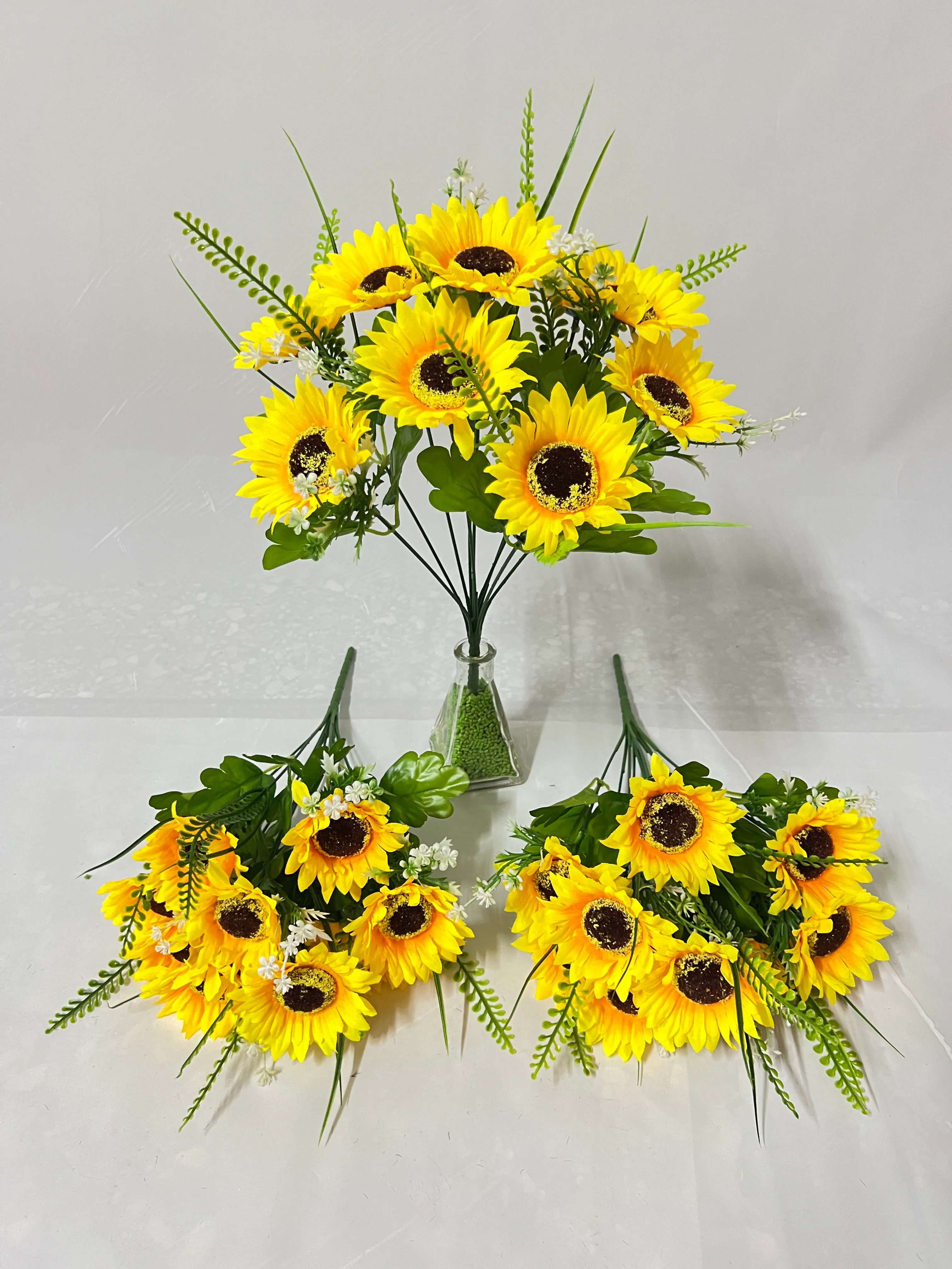 10头迷你太阳花