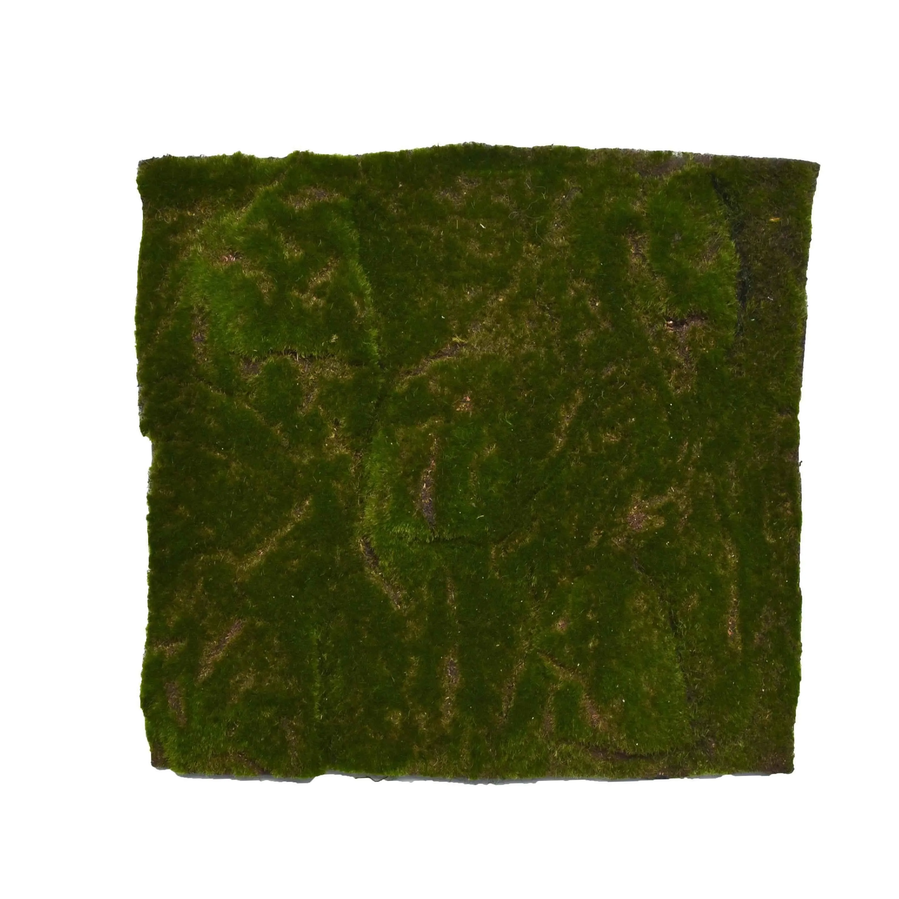 大鼓包打点草皮