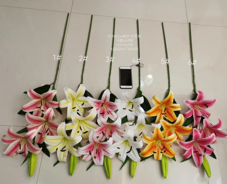 YZ73CM胶片小百合