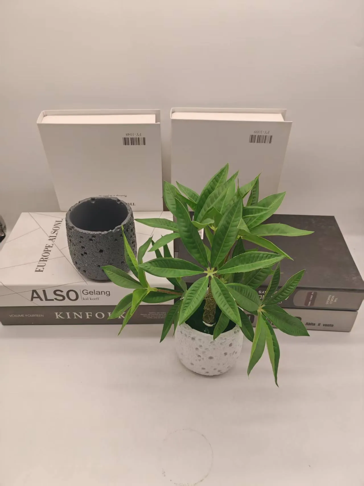 黑发师
麻点水泥盆