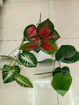 5头向日葵 分装